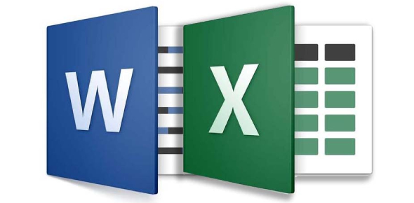 word excel